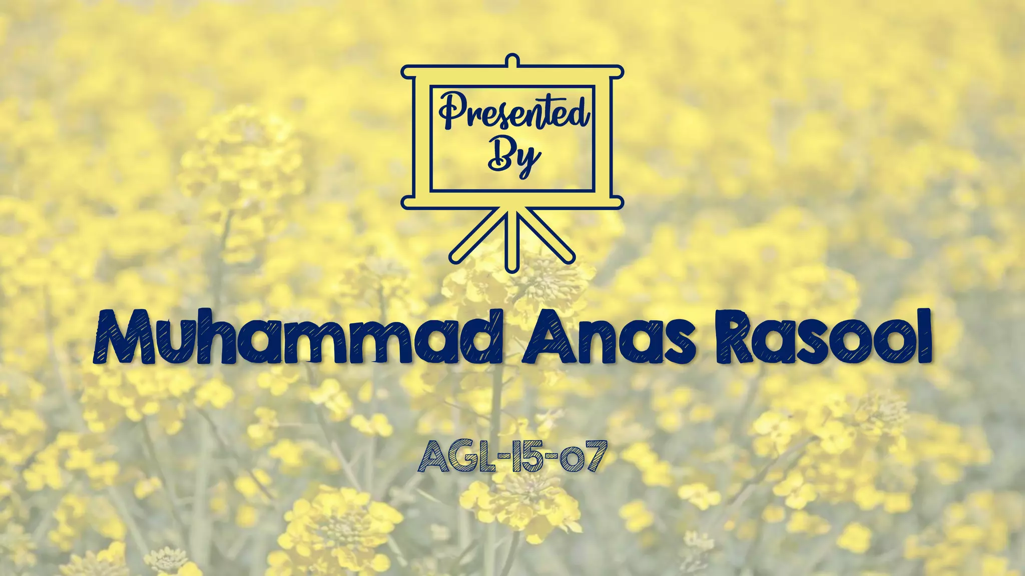 Muhammad Anas Rasool
AGL-15-o7