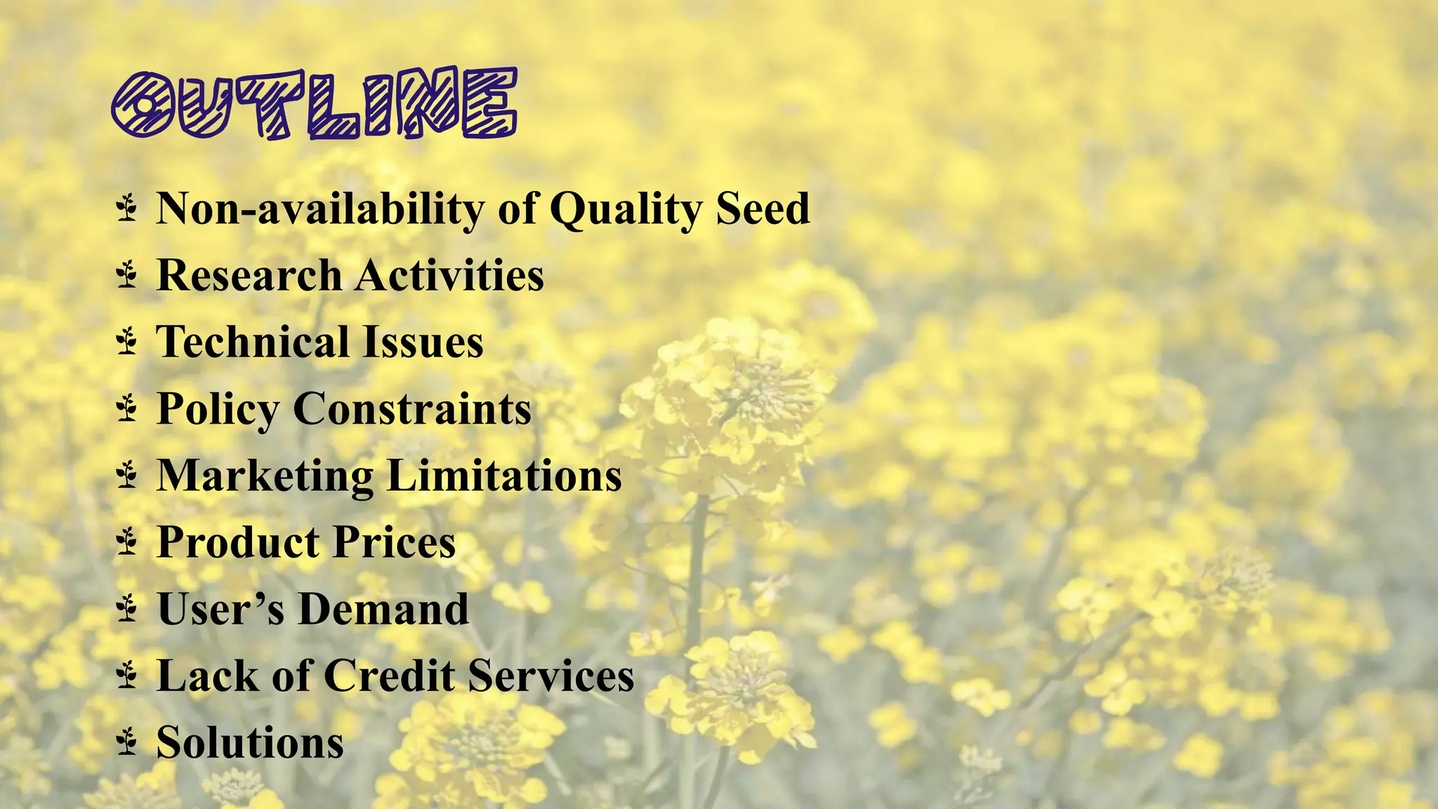OUTLINE
Non-availability of Quality Seed
Research Activities
Technical Issues
Policy Constraints
Marketing Limitations
Product Prices
User’s Demand
Lack of Credit Services
Solutions