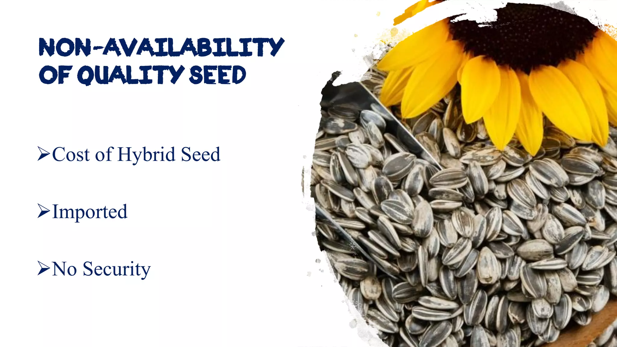 Non availability
of quality seed
➢Cost of Hybrid Seed
➢Imported
➢No Security