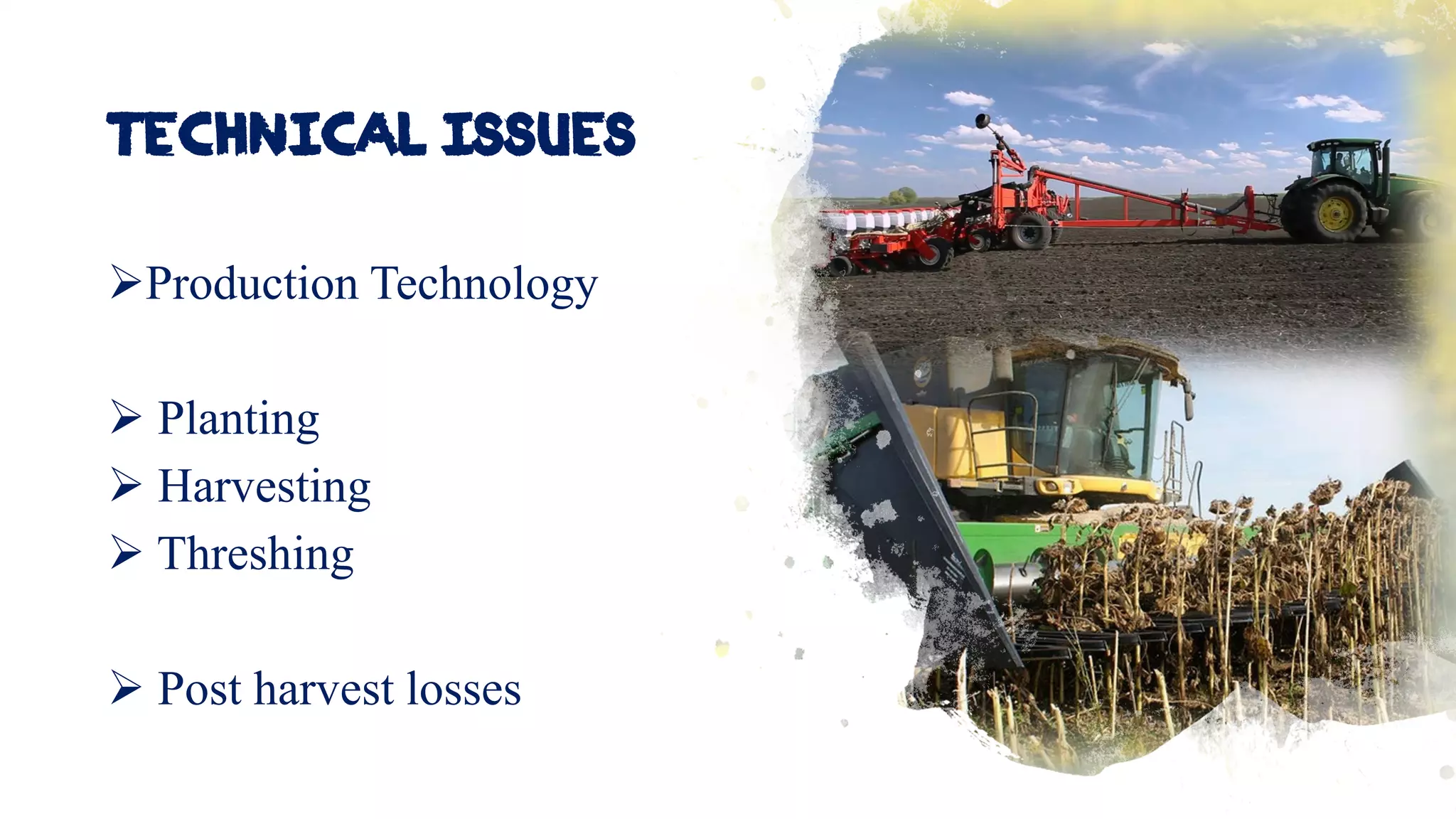 TECHNICAL ISSUES
➢Production Technology
➢ Planting
➢ Harvesting
➢ Threshing
➢ Post harvest losses