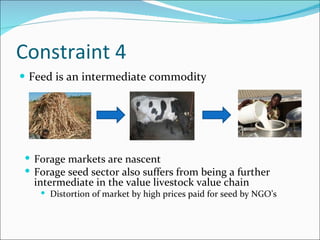 Constraints to supply of high quality feed to smallholder livestock producers in Ethiopia – some reflections