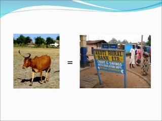 Constraints to supply of high quality feed to smallholder livestock producers in Ethiopia – some reflections