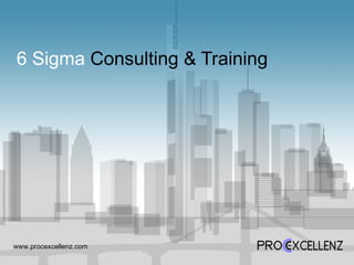 6 Sigma  Consulting & Training www.procexcellenz.com  