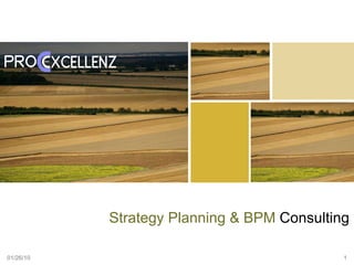 01/26/10 Strategy Planning & BPM  Consulting 