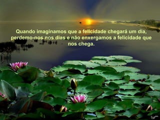 Texto Matriz Quando imaginamos que a felicidade chegará um dia, perdemo-nos nos dias e não enxergamos a felicidade que nos chega. 