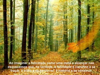 Texto Matriz Ao imaginar a felicidade como uma meta a alcançar nos esquecemos que, na verdade, a felicidade é caminho a se traçar, é trilha a se percorrer, é história a se construir. 