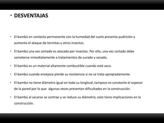  DESVENTAJAS


 El bambú en contacto permanente con la humedad del suelo presenta pudrición y
  aumenta el ataque de termitas y otros insectos.

 El bambú una vez cortado es atacado por insectos. Por ello, una vez cortado debe
  someterse inmediatamente a tratamientos de curado y secado.

 El bambú es un material altamente combustible cuando está seco.

 El bambú cuando envejece pierde su resistencia si no se trata apropiadamente.

 El bambú no tiene diámetro igual en toda su longitud, tampoco es constante el espesor
  de la pared por lo que algunas veces presentan dificultades en la construcción.

 El bambú al secarse se contrae y se reduce su diámetro; esto tiene implicaciones en la
  construcción.
 