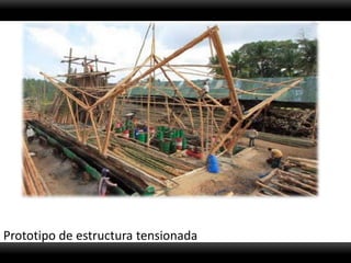 Prototipo de estructura tensionada
 