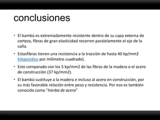 conclusiones
 El bambú es extremadamente resistente dentro de su capa externa de
  corteza, fibras de gran elasticidad recorren paralelamente el eje de la
  caña.
 Estasfibras tienen una resistencia a la tracción de hasta 40 kp/mm2
  kilopondios por milímetro cuadrado).
 Esto comparado con los 5 kp/mm2 de las fibras de la madera o el acero
  de construcción (37 kp/mm2).
 El bambú sustituye a la madera e incluso al acero en construcción, por
  su más favorable relación entre peso y resistencia. Por eso es también
  conocido como "hierba de acero"
 