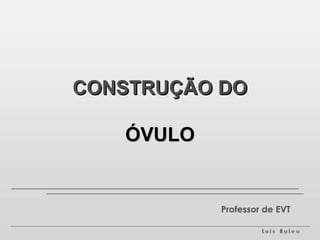 CONSTRUÇÃO DO

   ÓVULO


           Professor de EVT
 