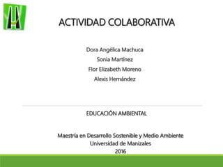 ACTIVIDAD COLABORATIVA
Dora Angélica Machuca
Sonia Martínez
Flor Elizabeth Moreno
Alexis Hernández
Maestría en Desarrollo Sostenible y Medio Ambiente
Universidad de Manizales
2016
EDUCACIÓN AMBIENTAL
 
