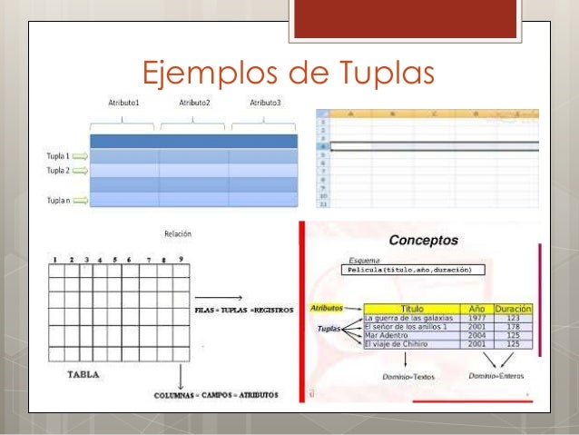 Construcción de base de datos