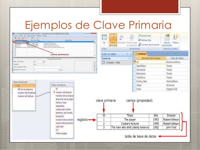Construcción de base de datos