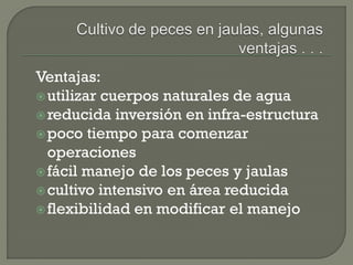 Ventajas:
utilizar cuerpos naturales de agua
reducida inversión en infra-estructura
poco tiempo para comenzar
operaciones
fácil manejo de los peces y jaulas
cultivo intensivo en área reducida
flexibilidad en modificar el manejo
 