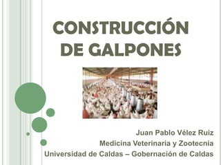 CONSTRUCCIÓN
   DE GALPONES



                         Juan Pablo Vélez Ruiz
               Medicina Veterinaria y Zootecnia
Universidad de Caldas – Gobernación de Caldas
 
