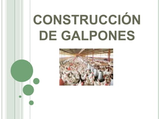 CONSTRUCCIÓN
DE GALPONES
 
