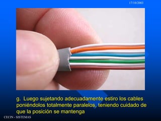 17/10/2003CECIN - SISTEMASg.  Luego sujetando adecuadamente estiro los cables poniéndolos totalmente paralelos, teniendo cuidado de que la posición se mantenga 