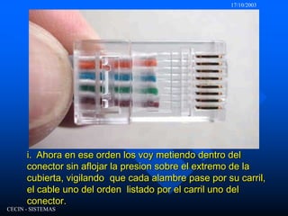 17/10/2003CECIN - SISTEMASi.  Ahora en ese orden los voy metiendo dentro del conector sin aflojar la presion sobre el extremo de la cubierta, vigilando  que cada alambre pase por su carril, el cable uno del orden  listado por el carril uno del conector.