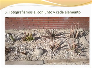 5. Fotografiamos el conjunto y cada elemento
 