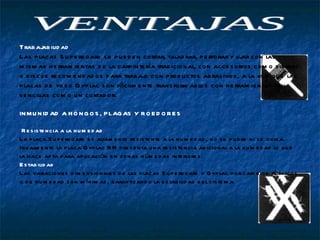 Trabajabilidad  Las placas Superboard se pueden cortar, taladrar, perforar y lijar con las mismas herramientas de la carpintería tradicional, con accesorios como sierras o discos recomendados para trabajo con productos abrasivos, a la vez que las placas de yeso Gyplac son fácilmente transformables con herramientas tan sencillas como un cortador. INMUNIDAD A HONGOS, PLAGAS Y ROEDORES Resistencia a la humedad  La placa Superboard es altamente resistente a la humedad, no se pudre ni se oxida. Igualmente la placa Gyplac RH presenta una resistencia adicional a la humedad lo que la hace apta para aplicación en zonas húmedas interiores.  Estabilidad  Las variaciones dimensionales de las placas Superboard y Gyplac por cambios térmicos o de humedad son mínimas, garantizando la estabilidad del sistema VENTAJAS  