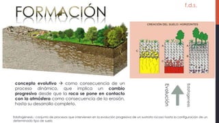 f.d.s.
concepto evolutivo  como consecuencia de un
proceso dinámico, que implica un cambio
progresivo desde que la roca se pone en contacto
con la atmósfera como consecuencia de la erosión,
hasta su desarrollo completo.
Evolución
Edafogenesis
Edafogénesis.- conjunto de procesos que intervienen en la evolución progresiva de un sustrato rocoso hasta la configuración de un
determinado tipo de suelo
 