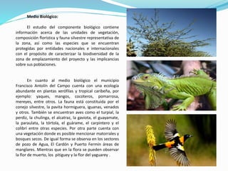 Medio Biológico:
El estudio del componente biológico contiene
información acerca de las unidades de vegetación,
composición florística y fauna silvestre representativa de
la zona, así como las especies que se encuentran
protegidas por entidades nacionales e internacionales
con el propósito de caracterizar la biodiversidad de la
zona de emplazamiento del proyecto y las implicancias
sobre sus poblaciones.
En cuanto al medio biológico el municipio
Francisco Antolín del Campo cuenta con una ecología
abundante en plantas xerófilas y tropical caribeña, por
ejemplo: yaques, mangos, cocoteros, pomarrosa,
mereyes, entre otros. La fauna está constituida por el
conejo silvestre, la pavita hormiguera, iguanas, venados
y otros. También se encuentran aves como el turpial, la
perdiz, la chulinga, el alcatraz, la gaviota, el guayamate,
la paraulata, la tórtola, el guárame, el carpintero y el
colibrí entre otras especies. Por otra parte cuenta con
una vegetación donde es posible mencionar matorrales y
bosques secos. De igual forma se observa en los sectores
de pozo de Agua, El Cardón y Puerto Fermín áreas de
manglares. Mientras que en la flora se pueden observar
la flor de muerto, los pitiguey y la flor del yaguarey .
 
