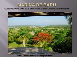 MARINA DE BARUCONTRUCTURA CON MAS EXPERIENCIA EN COLOMBIA EN MARINAS http://fincaraizcartagena.blogspot.com/ 