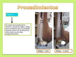 Paso 4:




Se repite el procedimiento
anterior, colocando 200g y 300g;
para corroborar que las medidas
siempre serán 0,5 de diferencia
entre cada una de ellas
progresivamente.




                                   200g= 1cm   300g= 1,5cm
 