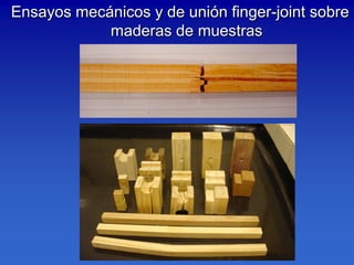 Ensayos mecánicos y de unión finger-joint sobre
            maderas de muestras
 