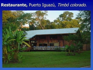 Restaurante, Puerto Iguazú, Timbó colorado.
 