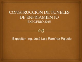 Expositor: Ing. José Luis Ramírez Pajuelo
 
