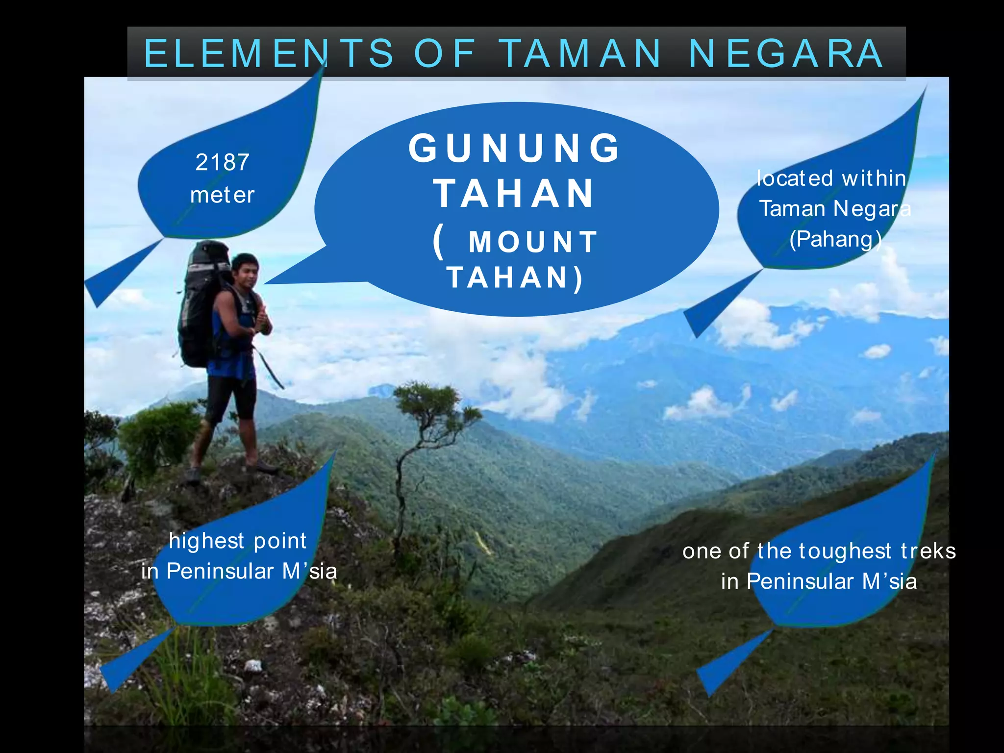 ELEM EN TS O F TA M A N N EG A RA
highest point
in Peninsular M’sia
located within
Taman Negara
(Pahang)
one of the toughest treks
in Peninsular M’sia
2187
meter
G U N U N G
TA H A N
( M O U N T
TA H A N )
 