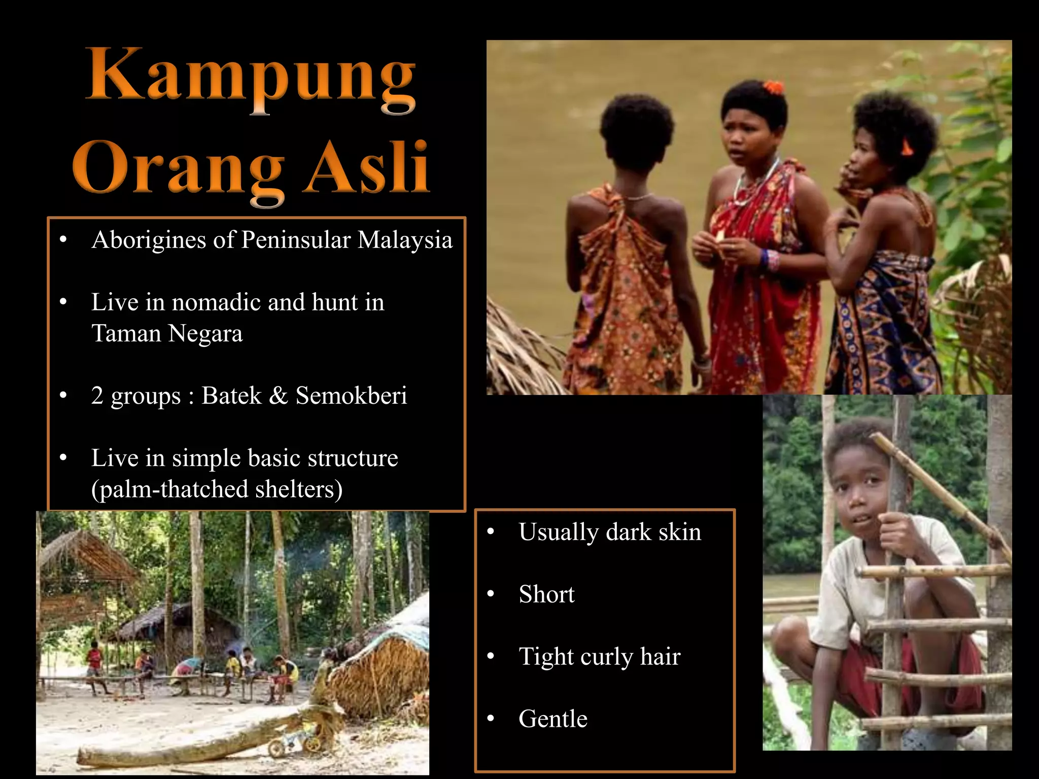 • Aborigines of Peninsular Malaysia
• Live in nomadic and hunt in
Taman Negara
• 2 groups : Batek & Semokberi
• Live in simple basic structure
(palm-thatched shelters)
• Usually dark skin
• Short
• Tight curly hair
• Gentle
 