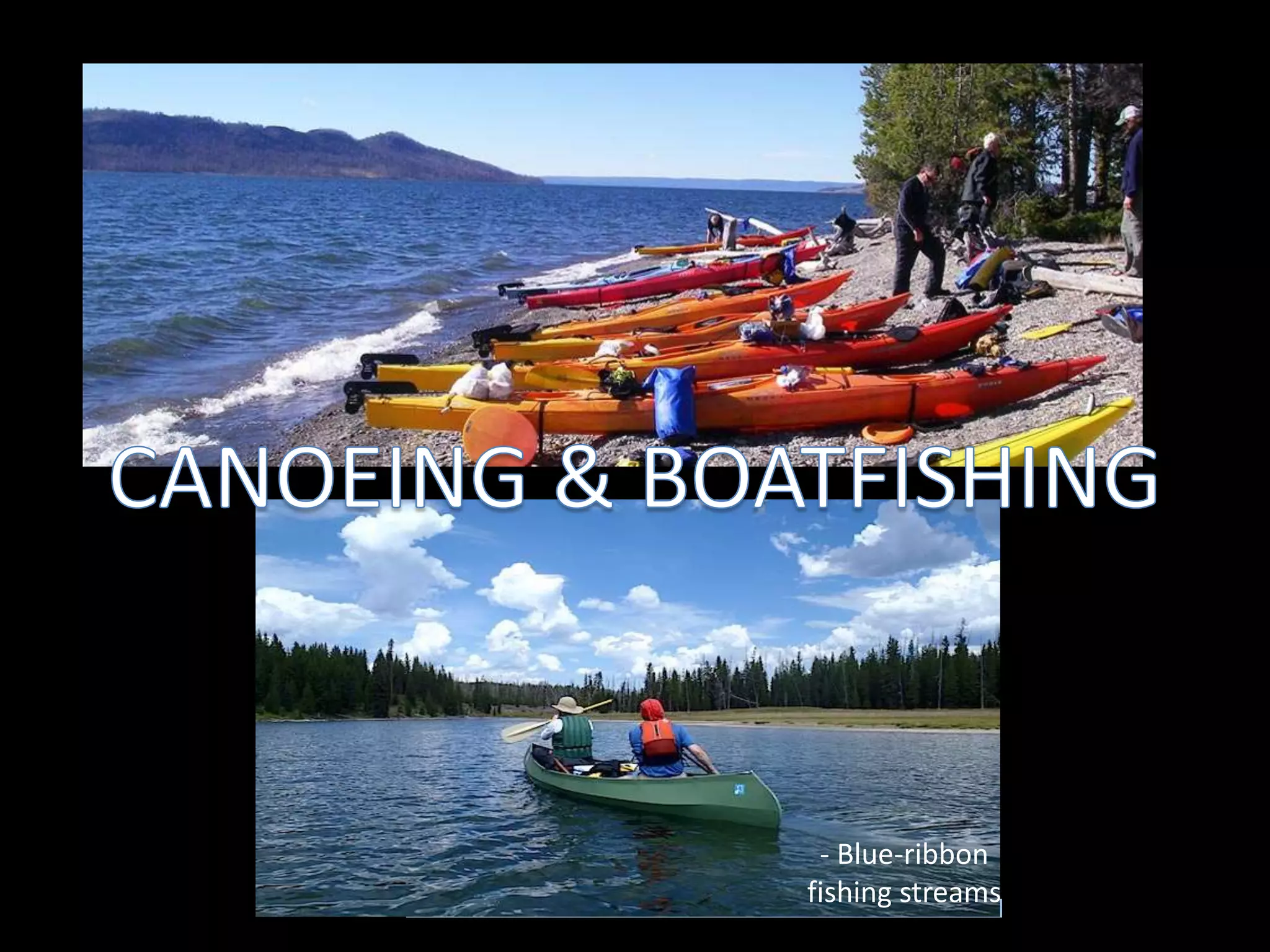 - Blue-ribbon
fishing streams
 