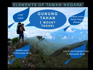 ELEM EN TS O F TA M A N N EG A RA
highest point
in Peninsular M’sia
located within
Taman Negara
(Pahang)
one of the toughest treks
in Peninsular M’sia
2187
meter
G U N U N G
TA H A N
( M O U N T
TA H A N )
 