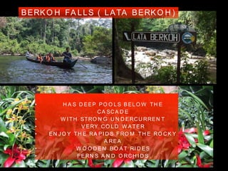 BERKO H FA LLS ( LATA BERKO H )
• H A S D EEP PO O LS BELO W TH E
CA SCA D E
• W I TH STRO N G U N D ERCU RREN T
• V ERY CO LD W ATER
• EN J O Y TH E RA PI D S FRO M TH E RO CK Y
A REA
• W O O D EN BO A T RI D ES
• FERN S A N D O RCH I D S
 