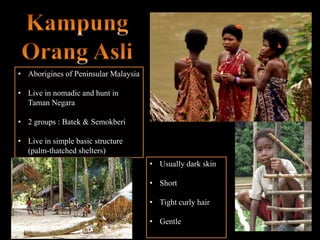 • Aborigines of Peninsular Malaysia
• Live in nomadic and hunt in
Taman Negara
• 2 groups : Batek & Semokberi
• Live in simple basic structure
(palm-thatched shelters)
• Usually dark skin
• Short
• Tight curly hair
• Gentle
 