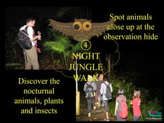 ④
NIGHT
JUNGLE
WALK
Spot animals
close up at the
observation hide
Discover the
nocturnal
animals, plants
and insects
 