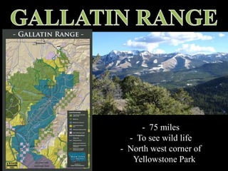 - 75 miles
- To see wild life
- North west corner of
Yellowstone Park
 
