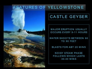 CA STLE G EYSER
M A JO R ERUPTI O N USUA LLY
O CCURS EVERY 9 -1 1 H O URS
W ATER SH O O TS BETW EEN 6 0
TO 9 0 FEET
BLA STS FO R A BT 2 0 M I N S
N O I SY STEA M PH A SE
FO LLO W S W H I CH LA STS
3 0 -4 0 M I N S
FEATURES O F YELLO W STO N E
 