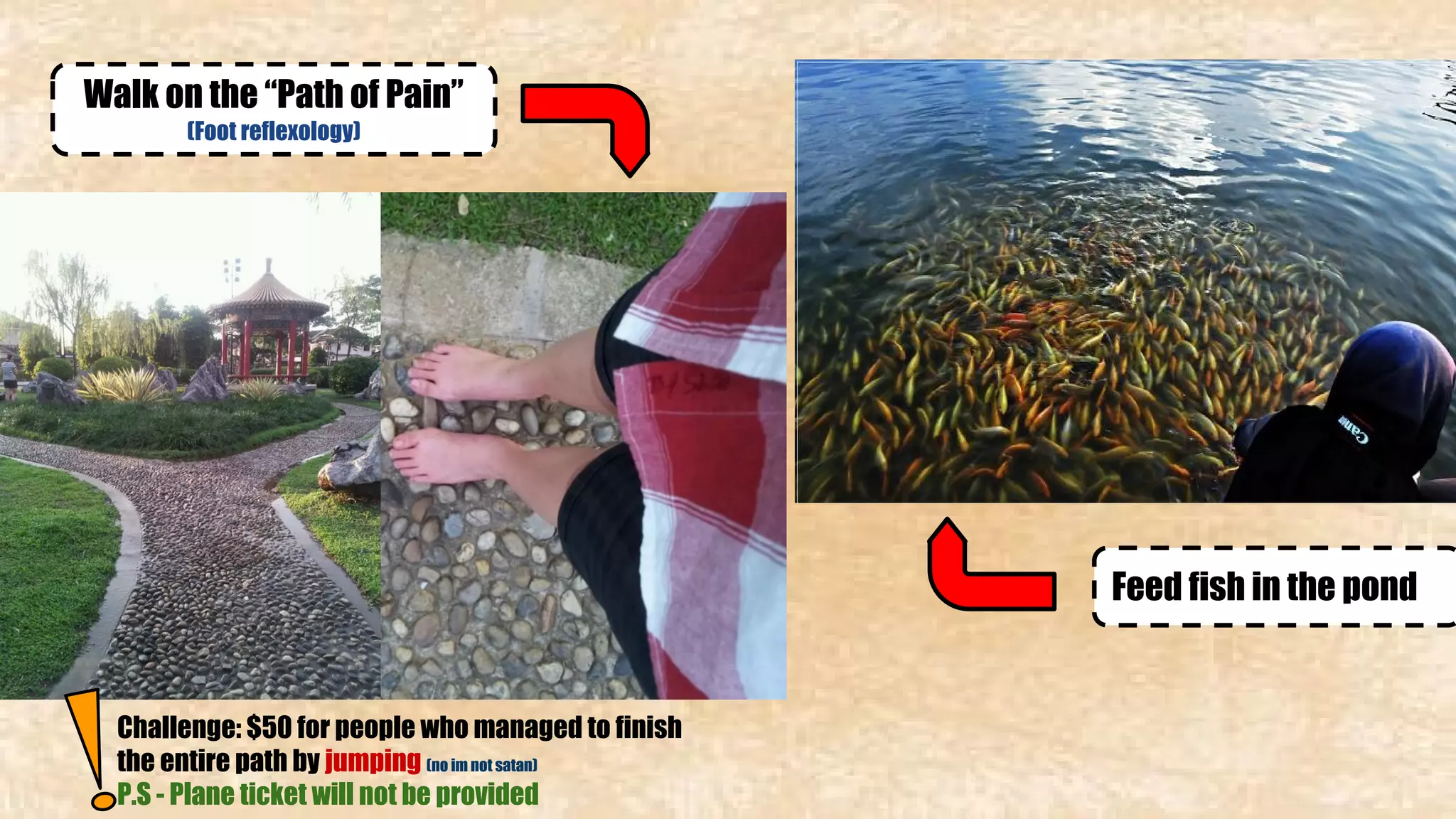 Feed fish in the pond 
Walk on the “Path of Pain” 
(Foot reflexology) 
Challenge: $50 for people who managed to finish 
the entire path by jumping (no im not satan) 
P.S - Plane ticket will not be provided 
 