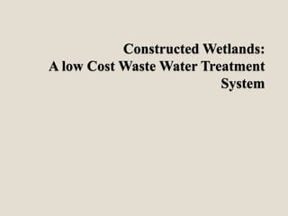 Constructed Wetlands:
A low Cost Waste Water Treatment
System
 