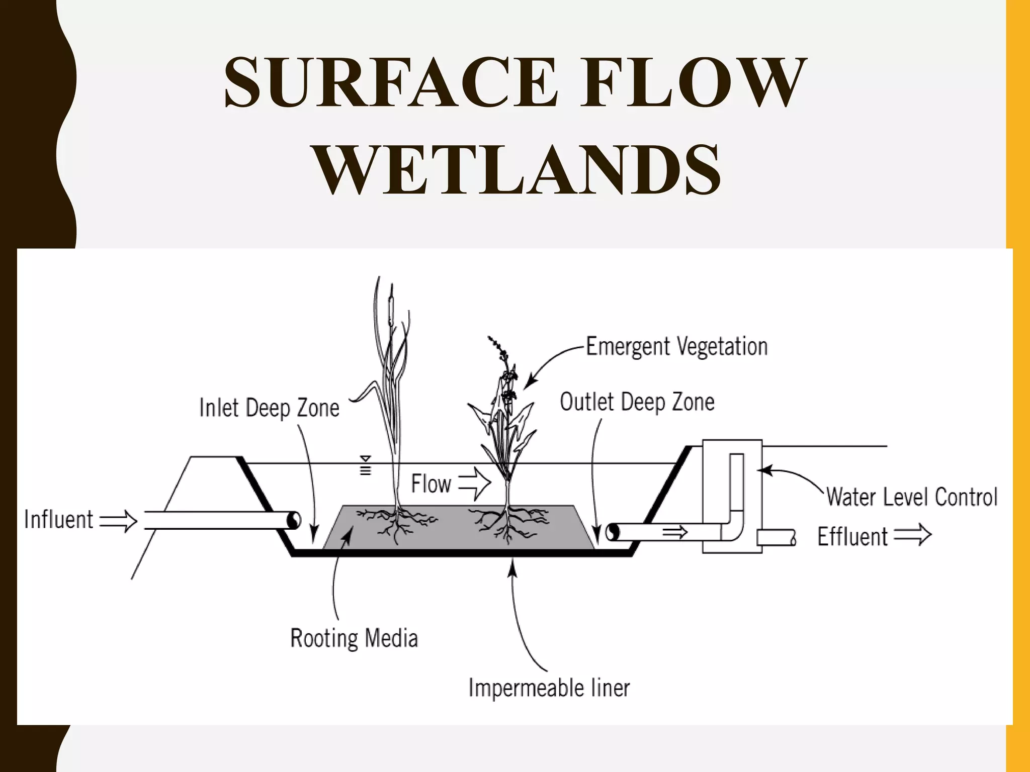 SURFACE FLOW
WETLANDS
 