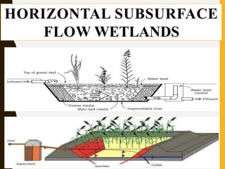 HORIZONTAL SUBSURFACE
FLOW WETLANDS
 