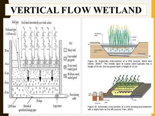 VERTICAL FLOW WETLAND
 