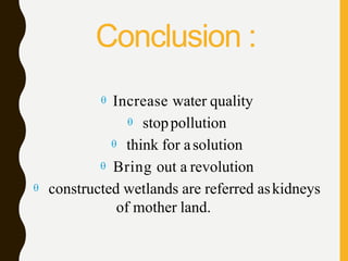  Increase water quality
 stoppollution
 think for asolution
 Bring out a revolution
 constructed wetlands are referred askidneys
of mother land.
Conclusion :
 