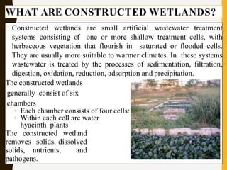 WHAT ARE CONSTRUCTED WETLANDS?
Constructed wetlands are small artificial wastewater treatment
systems consisting of one or more shallow treatment cells, with
herbaceous vegetation that flourish in saturated or flooded cells.
They are usually more suitable to warmer climates. In these systems
wastewater is treated by the processes of sedimentation, filtration,
digestion, oxidation, reduction, adsorption and precipitation.
The constructed wetlands
generally consist of six
chambers
◦ Each chamber consists of four cells:
◦ Within each cell are water
hyacinth plants
The constructed wetland
removes solids, dissolved
solids, nutrients, and
pathogens.
 