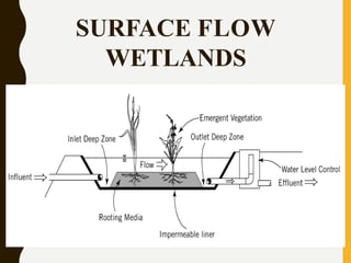 SURFACE FLOW
WETLANDS
 