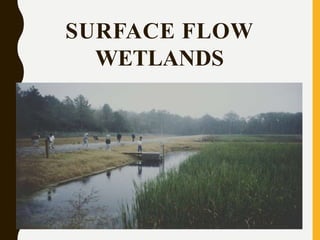 SURFACE FLOW
WETLANDS
 