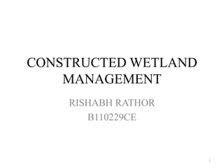 CONSTRUCTED WETLAND 
MANAGEMENT 
RISHABH RATHOR 
B110229CE 
1 
 